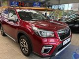 Subaru Forester Comfort - Subaru Forester: Comfort