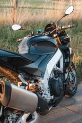 Aprilia Tuono V4 Factory  - APRILIA MOTORRAD