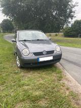 Volkswagen VW Lupo 1,2 Windsor Ausstattung - Volkswagen Lupo Windsor