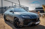 Lamborghini Urus 4.0 V8 Autom. - Lamborghini Urus aus 2021