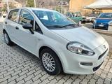Fiat Punto 1.3 MJT II S&S 95 CV 5 porte - Fiat Punto: 1.9