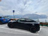 Tesla Model Y Performance Dual Motor AWD Performance