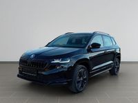 Skoda Karoq - Vorschau Bild 2