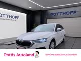 Skoda Octavia Combi 2.0 TDI DSG STYLE NAVI ACC HuD LED - gebrauchte Skoda Kombis