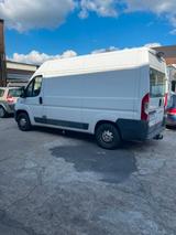Fiat Ducato L2H2 inkl. Sortimo Werkstatteinr. - Fiat Ducato von privat
