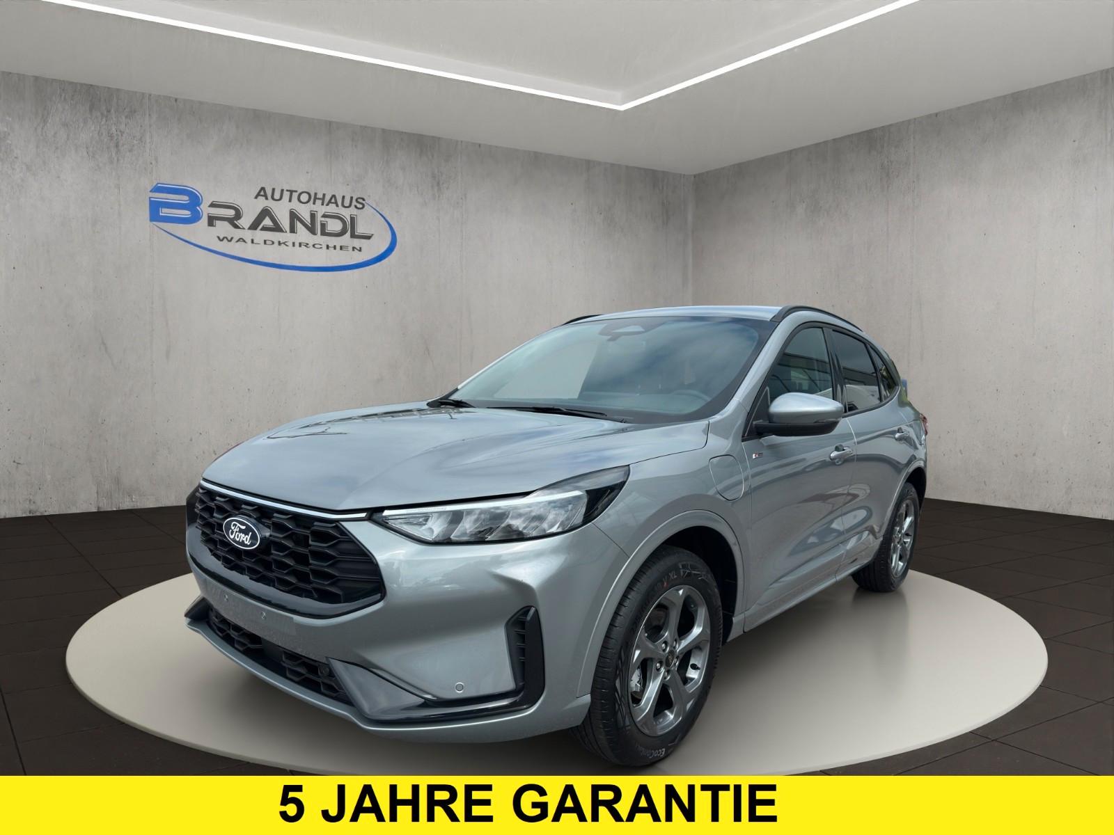 Ford Kuga 2.5 Duratec FHEV 4x4 ST-Line*Winter-Paket