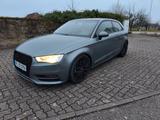 Audi A3 2.0 TDI Schiebedach 19" Felgen Fahrwerk  - Audi A3: Felgen