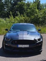 Ford Mustang Shelby GT350  - Ford Mustang: Gt350 Shelby