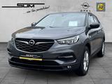Opel Grandland 1.2 Turbo Edition, Navi-Rückfahrk. - Opel Grandland (X) in Freiburg