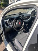 Fiat New Panda 1.2 8V LOUNGE LOUNGE - Fiat New Panda aus 2017