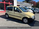 Fiat Panda 1.1 8V Active Rentnerauto 1.Hand AHK Top - Fiat Panda aus 2010: Allradantrieb