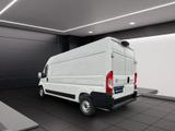 Toyota Proace Max 2.2-l-D 35 L3H2 Heavy Meister - Bootsanhänger