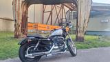Harley-Davidson XL1200 Sportster  - HARLEY-DAVIDSON 2007 SPORTSTER 1200