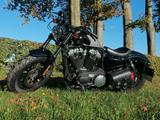 Harley-Davidson Sportster Forty Eight 48 XL2 1202ccm - HARLEY-DAVIDSON 2 XL