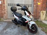 Gilera RUNNER C46 SP 50 CCM LIMITED EDITION 100 JAHRE  - ROLLER 50 CCM
