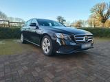 Mercedes-Benz Mercedes E250 T Avantgarde Leder Scheck Ca... - Mercedes-Benz E 250 in Dortmund