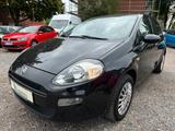 Fiat Punto 1.2 8V - gebrauchte Fiat Punto aus dem Jahr 2015