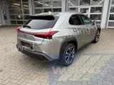 Lexus UX 250h HYBRID Autom. Premium Plus Leder ACC - Lexus UX Tageszulassungen