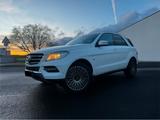 Mercedes-Benz ML250 CDI 4Matic (MaybachDesignFelgen) - weiße Mercedes-Benz ML 250