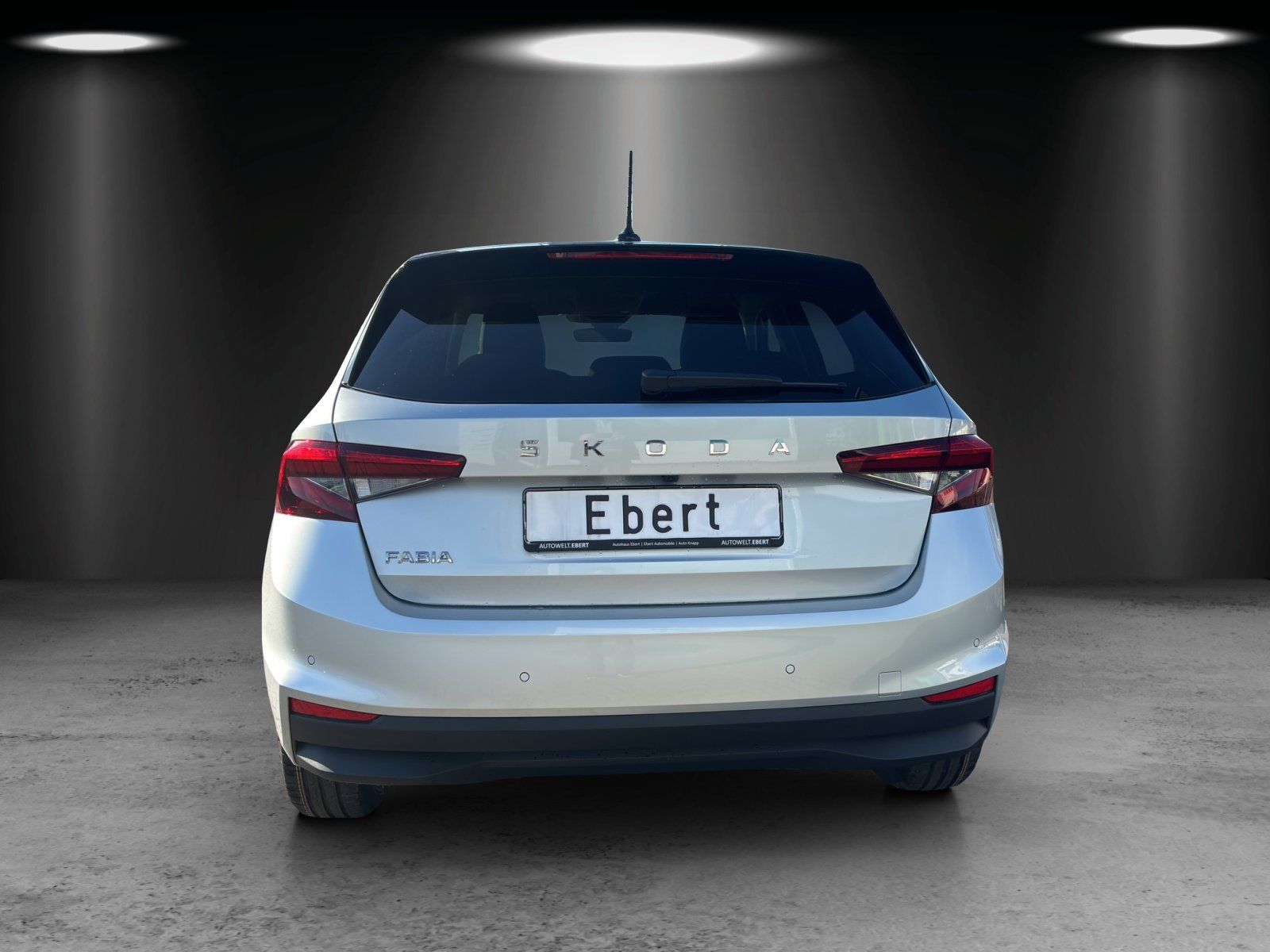 Fahrzeugabbildung SKODA Fabia Tour 1,0 TSI 85 kW DSG