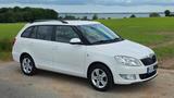 Skoda Fabia 1.6l TDI 77kW Fresh | 1. Hand | HU 12/27 - Skoda Fabia Fresh mit Diesel-Antrieb