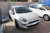 Fiat FIAT Punto 1.2 8V 5 porte Street G.P.L - Fiat Punto: Weiß