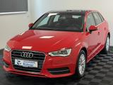 Audi A3 Sportback 1.6 TDI Pano Bi-Xenon Teilleder AHK - Audi A3: 6.1