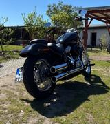 Harley-Davidson Softail Standard  - HARLEY-DAVIDSON SOFTAIL STANDARD