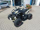 Aeon Cobra 420SX - AEON MOTORRAD