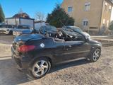 Peugeot 206 Cabriolet CC Platinum - Peugeot 206: Leder