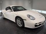 Porsche Cayman Basis - Porsche Cayman: Weiß