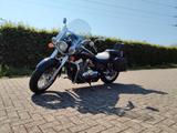Honda Shadow RC50 VT750/CS - HONDA VT 750 C SHADOW