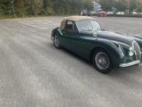 Jaguar XK120 DHC - Jaguar XK von privat