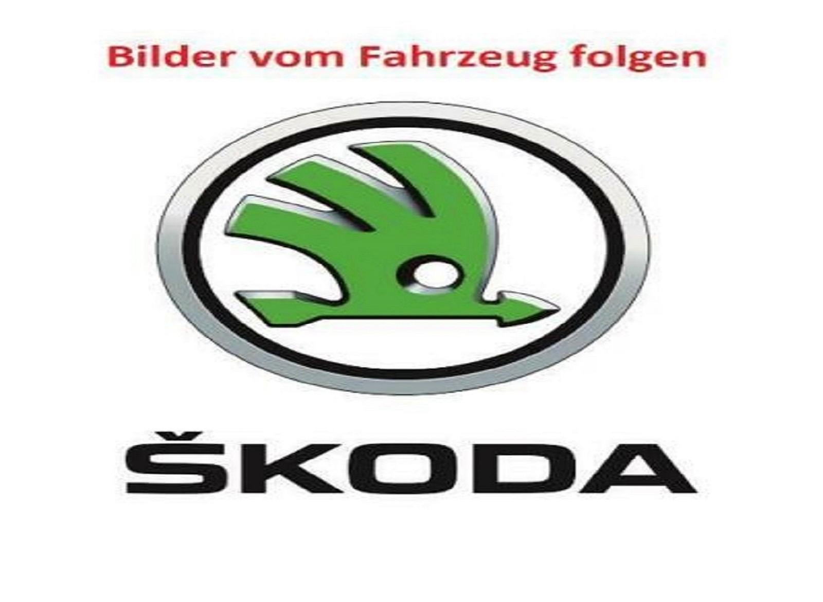 Skoda Kamiq Monte Carlo/Virtual/ACC/el.HK/AHK/BlindSpo
