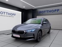 Skoda Octavia - Vorschau Bild 2