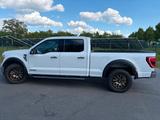Ford F 150 - Ford F 150 mit Panoramadach