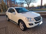 Mercedes-Benz ML 300 CDI 4MATIC BlueEFFICIENCY - - Mercedes-Benz ML 300 aus 2009