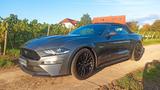 Ford Mustang 5.0 Ti-VCT V8 GT Auto GT - Ford Mustang mit LPG-Antrieb