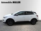 Opel Grandland 1.2 Turbo Design Line (EURO 6d) - Opel: Eu