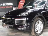Porsche Cayenne 3.0 Diesel Pano/Tw-Ass/AHK/ACC/BOSE - Porsche Gebrauchtwagen in Herford