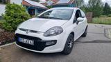Fiat Punto 199  TÜV Neu - Fiat Punto 199 mit Benzin-Antrieb