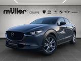 Mazda CX-30 G 150 PS 6GS SELECTION A18 DES-P PRE-P - Mazda CX-30 mit Hybrid-Antrieb