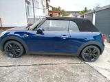 MINI Mini Cooper Cabrio - MINI Cooper Cabrio von privat