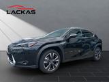 Lexus UX UX Crossover Style Edition 250h Frontantrieb - Lexus aus 2023