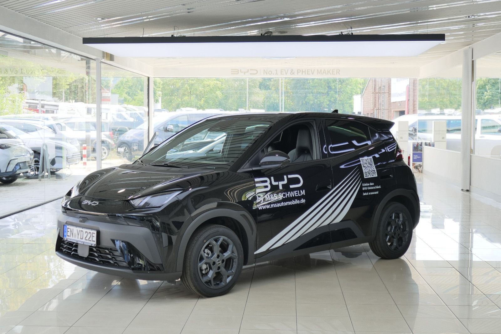 BYD DOLPHIN SURF