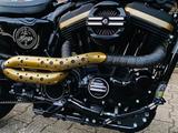 Harley-Davidson Sporster 883 N Custom Café Racer - HARLEY-DAVIDSON NAKED BIKE