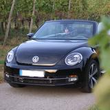 Volkswagen Beetle Cabrio Club 1.4 TSI - Volkswagen Beetle CLUB mit Benzin-Antrieb