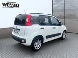 Fiat Panda Easy 1,2 - gebrauchte Fiat Panda aus dem Jahr 2019
