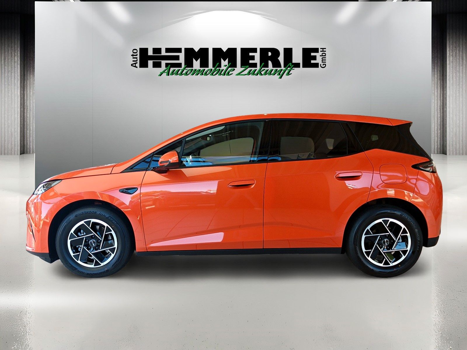 BYD DOLPHIN