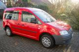 Volkswagen Caddy Life 1.4 5-Sitzer Standard - Volkswagen Caddy: Standard